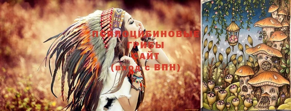 меф Елизово
