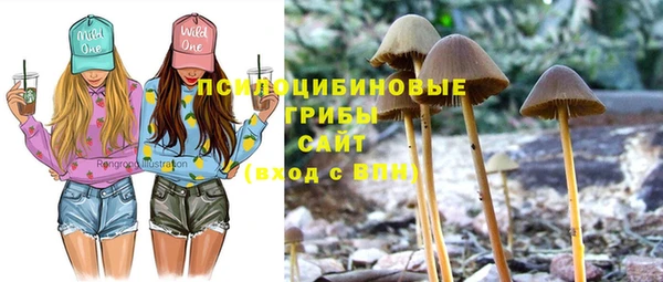 кристаллы Елабуга