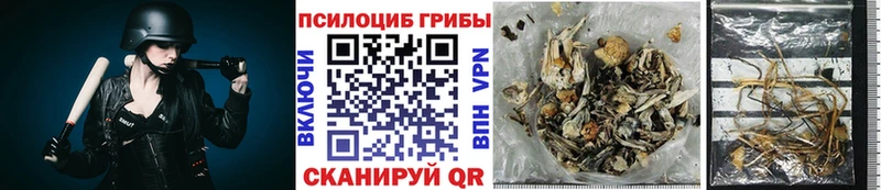 Купить закладки  Ивдель  Галлюциногенные грибы мицелий 